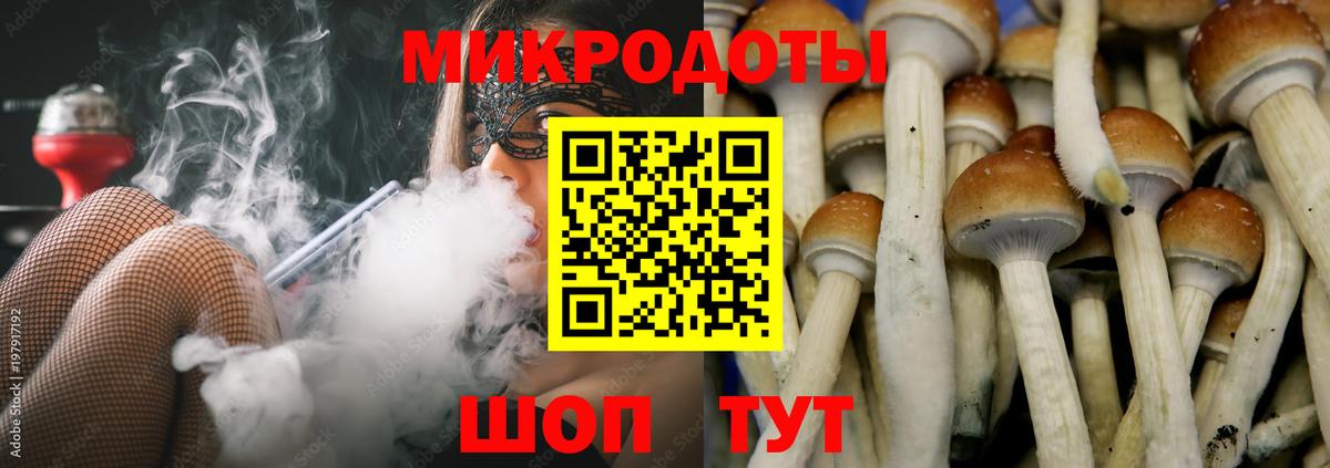 Галлюциногенные грибы ЛСД Новороссийск
