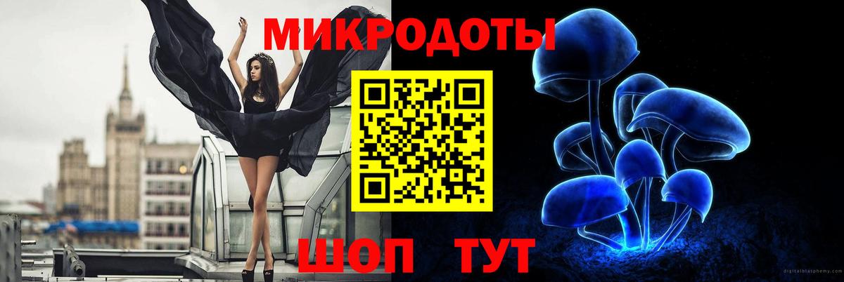 Новороссийск  Псилоцибиновые грибы Cubensis  Вход с VPN 